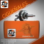 CIGUEÑAL COMPLETO WNR FAIR/PX110/C110 AIP
