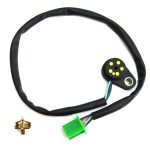 INDICADOR CAMBIOS  GS2 50cm