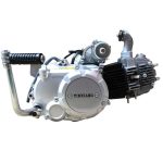 MOTOR COMPLETO POLLERITA 110CC